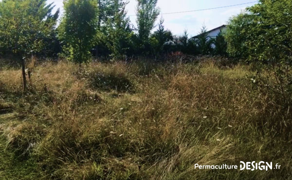 Accepter de ne pas systématiquement « faire propre » et maintenir un maximum de zones sauvages pour un retour de la biodiversité tout en obtenant des récoltes très intéressantes et entièrement gratuites grâce aux plantes sauvages comestibles ! 