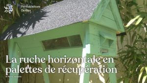 Comment fabriquer une ruche horizontale à partir de palettes et matériaux de récupération ?