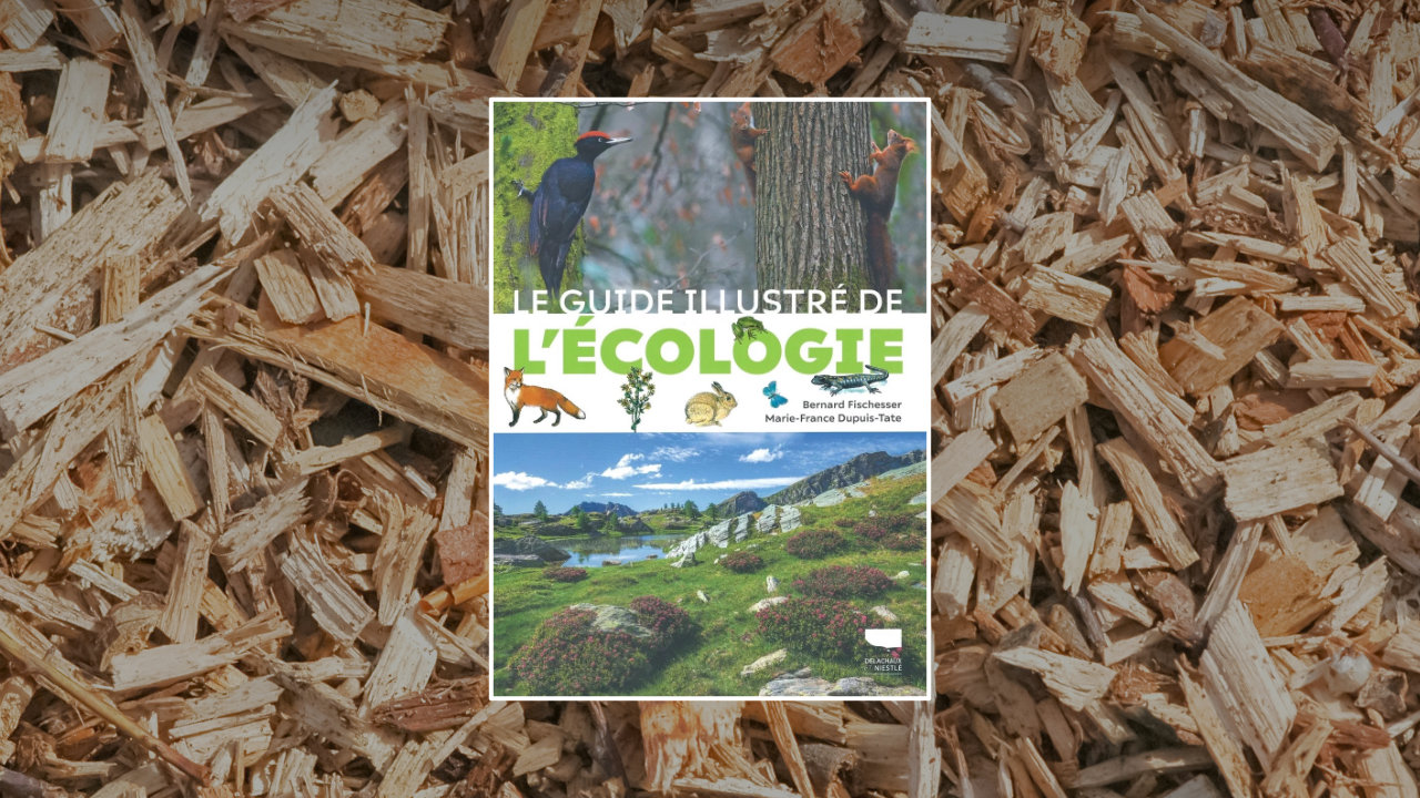 Livre Le Guide illustré de l’écologie