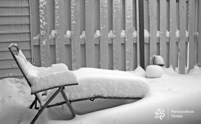 Petit extérieur enneigé sans aucune végétation, un désert alimentaire pour les oiseaux du jardin.
