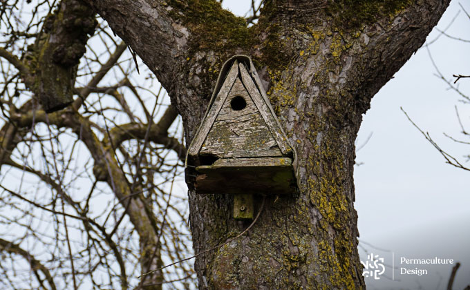 Nid d'oiseau en forme de champignon Sculpture d'arbre Décor Nichoir pour  cour de jardin à l'extérieur 
