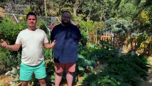 D’une pelouse à un potager en permaculture hyper productif