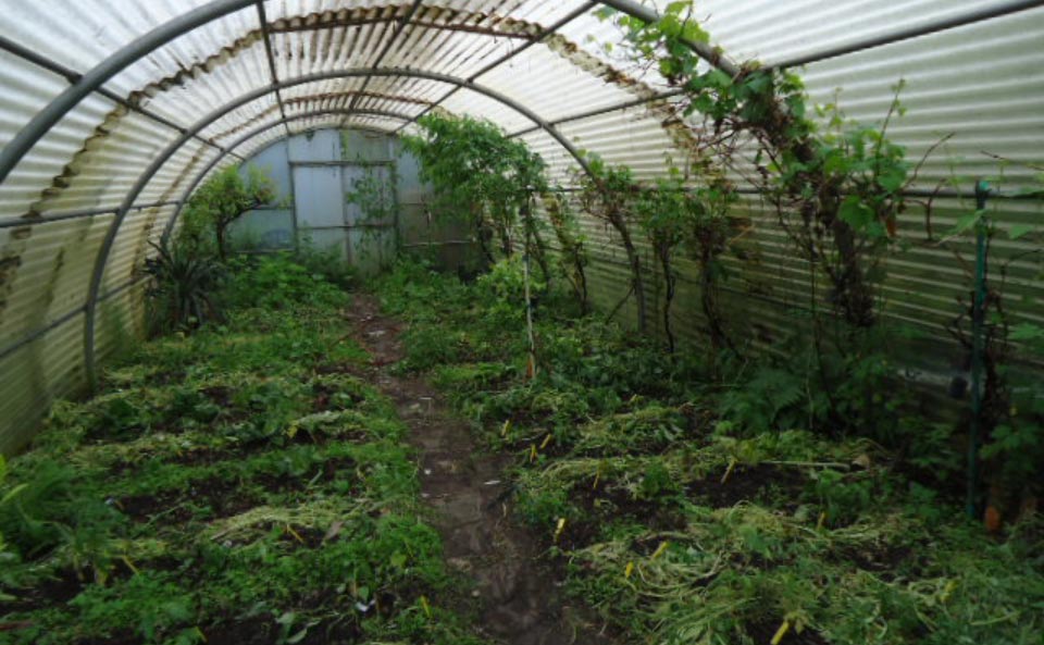 Le jardin-forêt en permaculture des fraternités ouvrières de Mouscron en Belgique produit des fruits et légumes en abondance toute l’année.