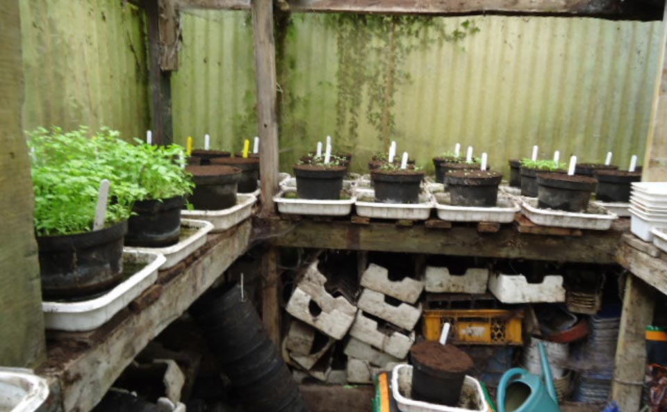 Le jardin-forêt en permaculture des fraternités ouvrières de Mouscron en Belgique produit des fruits et légumes en abondance toute l’année.