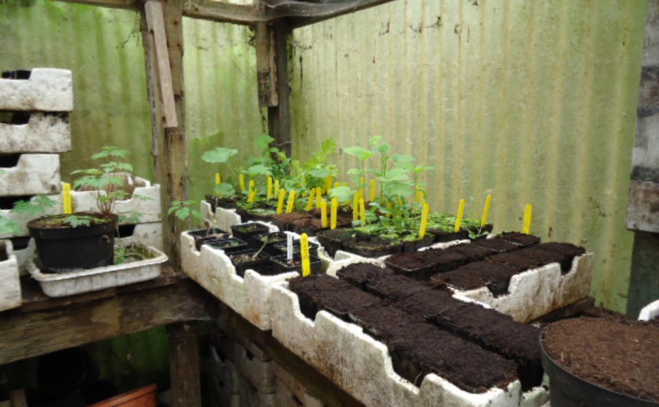 Le jardin-forêt en permaculture des fraternités ouvrières de Mouscron en Belgique produit des fruits et légumes en abondance toute l’année.
