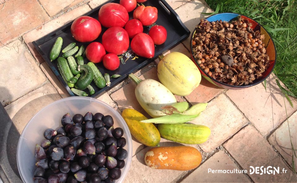 Grâce à la formation « Invitez la permaculture dans votre jardin », Myriam et Déborah ont transformé un parking en jardin potager résilient.