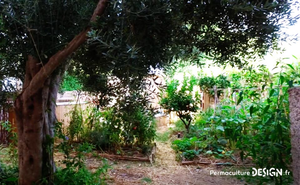 Grâce à la formation « Invitez la permaculture dans votre jardin », Myriam et Déborah ont transformé un parking en jardin potager résilient.