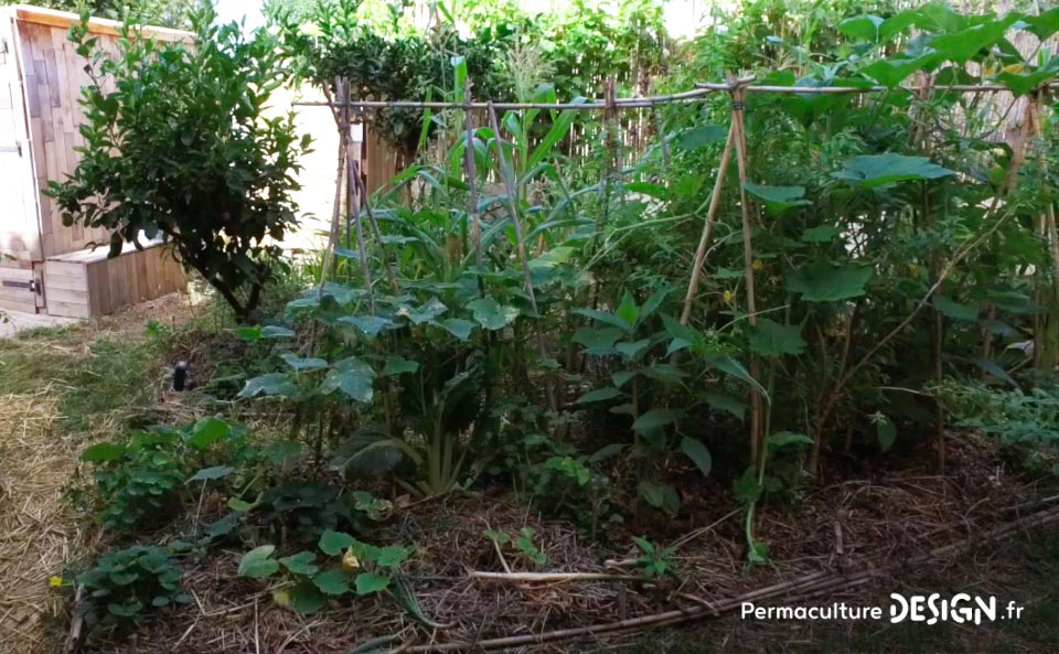 Grâce à la formation « Invitez la permaculture dans votre jardin », Myriam et Déborah ont transformé un parking en jardin potager résilient.