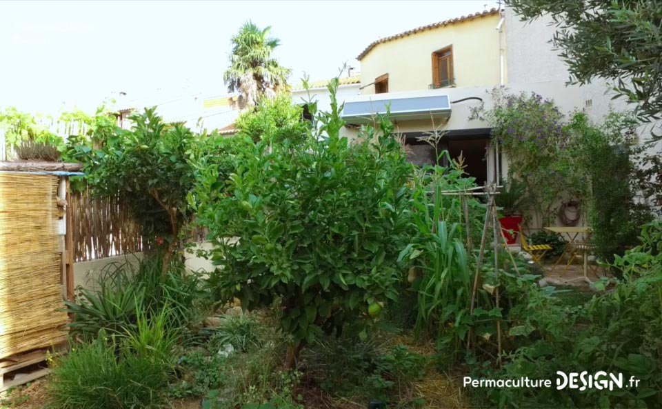 Grâce à la formation « Invitez la permaculture dans votre jardin », Myriam et Déborah ont transformé un parking en jardin potager résilient.