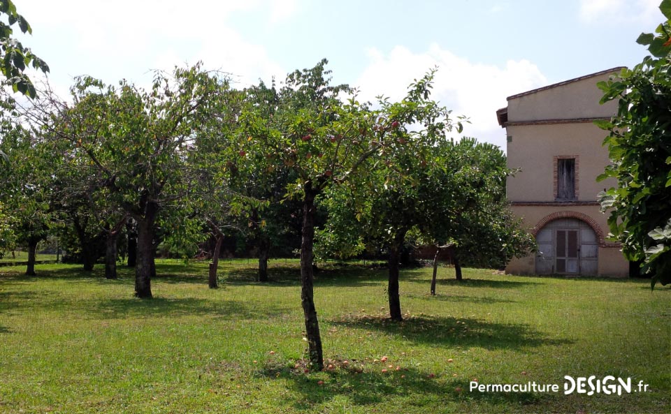 Julie et Ludovic ont réussi à transformer un verger classique en jardin d’abondance grâce au design de permaculture.