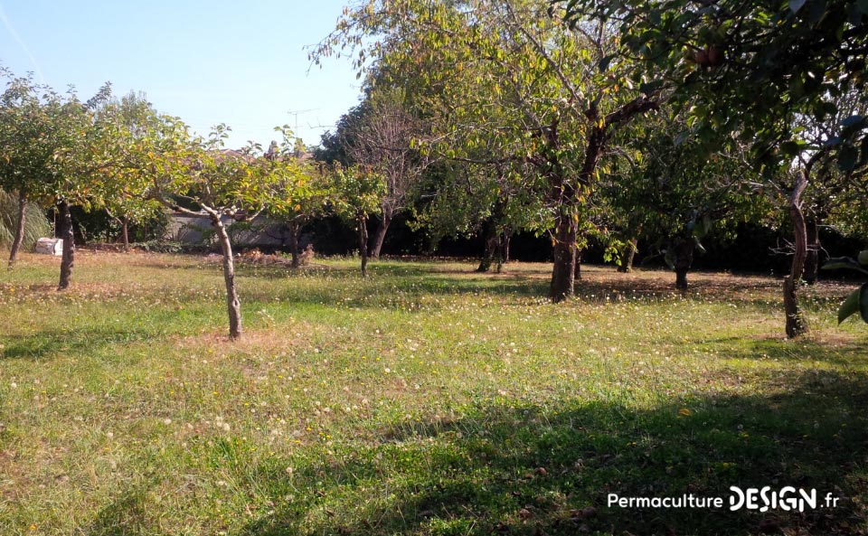 Julie et Ludovic ont réussi à transformer un verger classique en jardin d’abondance grâce au design de permaculture.