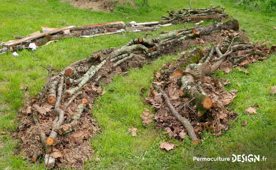 Julie et Ludovic ont réussi à transformer un verger classique en jardin d’abondance grâce au design de permaculture.