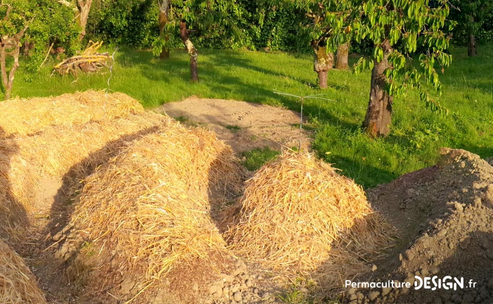 Julie et Ludovic ont réussi à transformer un verger classique en jardin d’abondance grâce au design de permaculture.