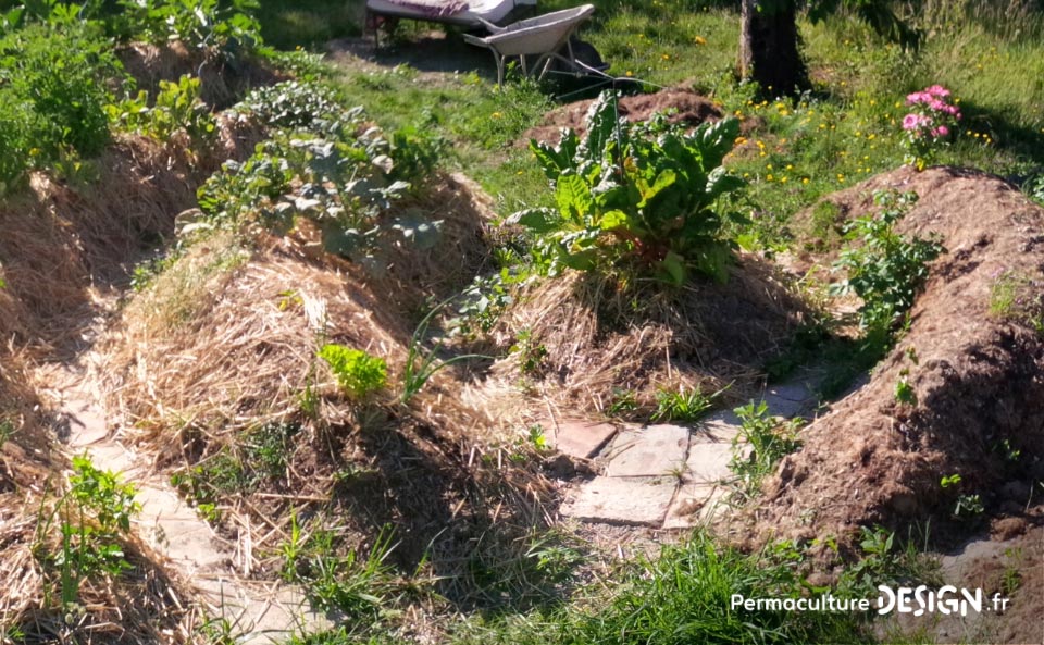 Julie et Ludovic ont réussi à transformer un verger classique en jardin d’abondance grâce au design de permaculture.