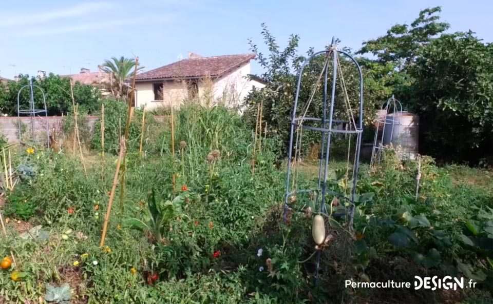 Julie et Ludovic ont réussi à transformer un verger classique en jardin d’abondance grâce au design de permaculture.
