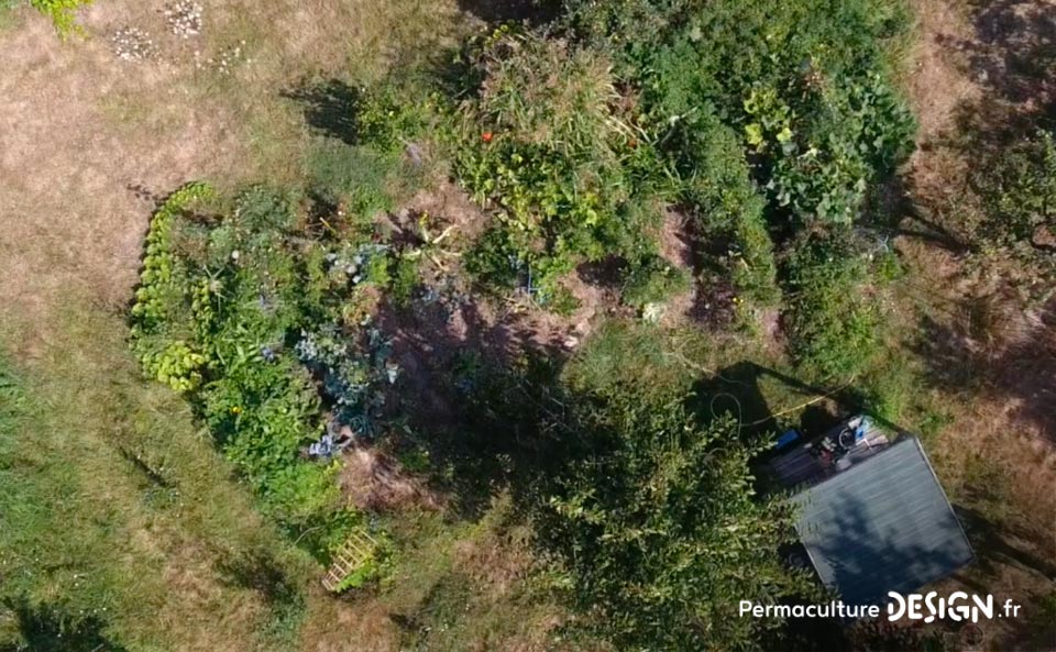 Julie et Ludovic ont réussi à transformer un verger classique en jardin d’abondance grâce au design de permaculture.