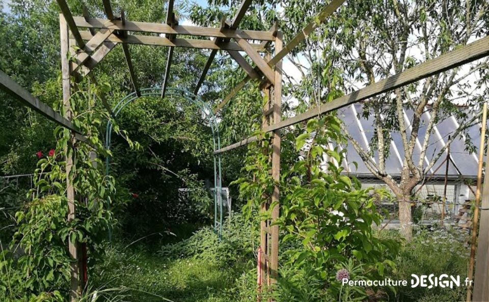 Julie et Ludovic ont réussi à transformer un verger classique en jardin d’abondance grâce au design de permaculture.