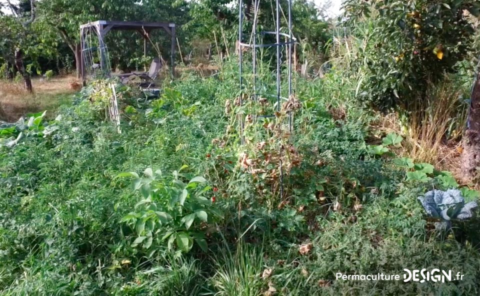 Julie et Ludovic ont réussi à transformer un verger classique en jardin d’abondance grâce au design de permaculture.