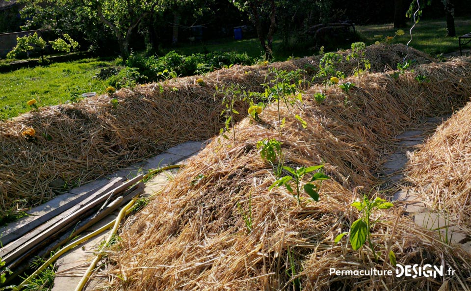 Julie et Ludovic ont réussi à transformer un verger classique en jardin d’abondance grâce au design de permaculture.