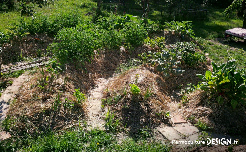 Julie et Ludovic ont réussi à transformer un verger classique en jardin d’abondance grâce au design de permaculture.