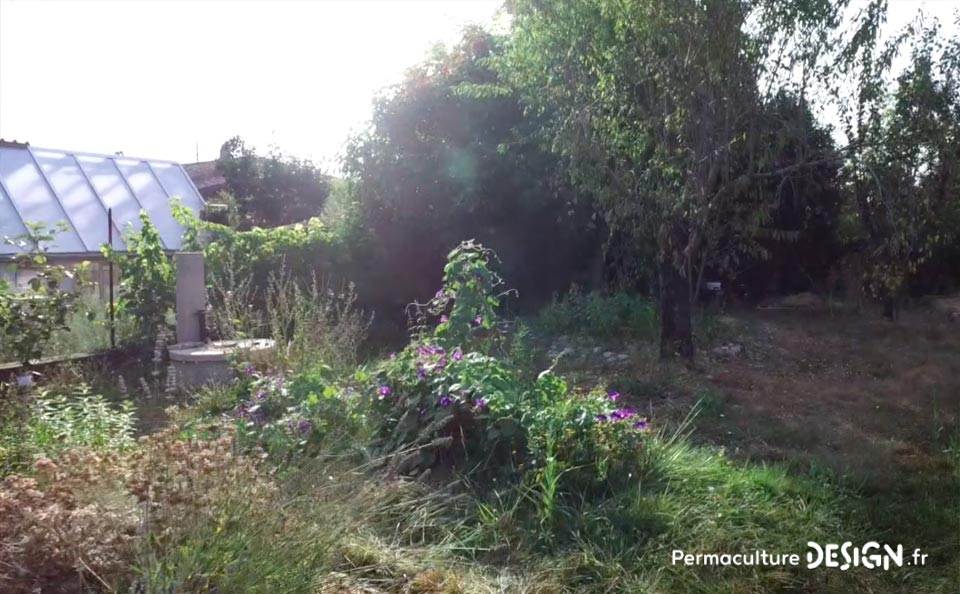 Julie et Ludovic ont réussi à transformer un verger classique en jardin d’abondance grâce au design de permaculture.