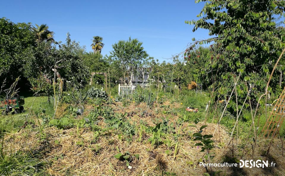 Julie et Ludovic ont réussi à transformer un verger classique en jardin d’abondance grâce au design de permaculture.