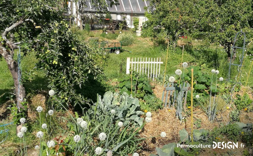 Julie et Ludovic ont réussi à transformer un verger classique en jardin d’abondance grâce au design de permaculture.