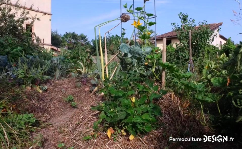 Julie et Ludovic ont réussi à transformer un verger classique en jardin d’abondance grâce au design de permaculture.