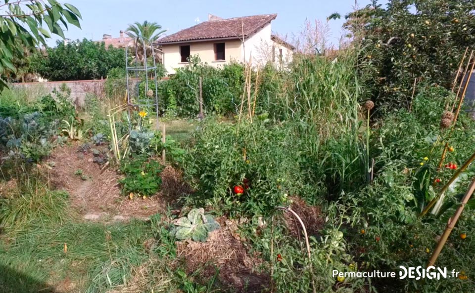 Julie et Ludovic ont réussi à transformer un verger classique en jardin d’abondance grâce au design de permaculture.