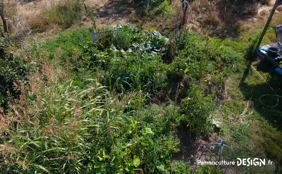 Julie et Ludovic ont réussi à transformer un verger classique en jardin d’abondance grâce au design de permaculture.