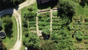 Comment commencer un jardin en permaculture ?