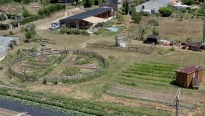 Micro-ferme en permaculture, retour d’expérience de Sophie et Yoann