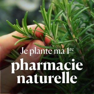 Installer vos plantes médicinales, sans vous planter !