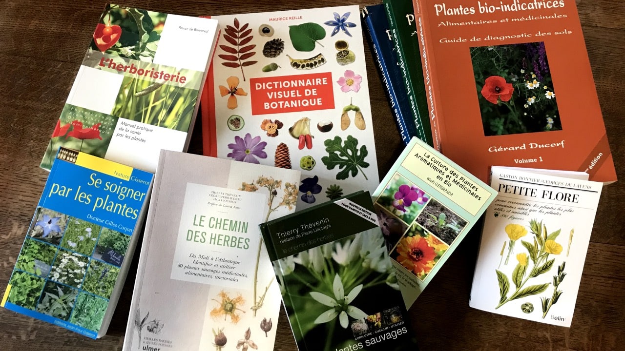 Le livre perdu des remèdes à base de plantes ( Belgium