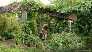 Quoi faire chaque mois dans un jardin-forêt productif ?