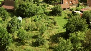 Comment faire un jardin en permaculture ? Les bases indispensables à connaître.