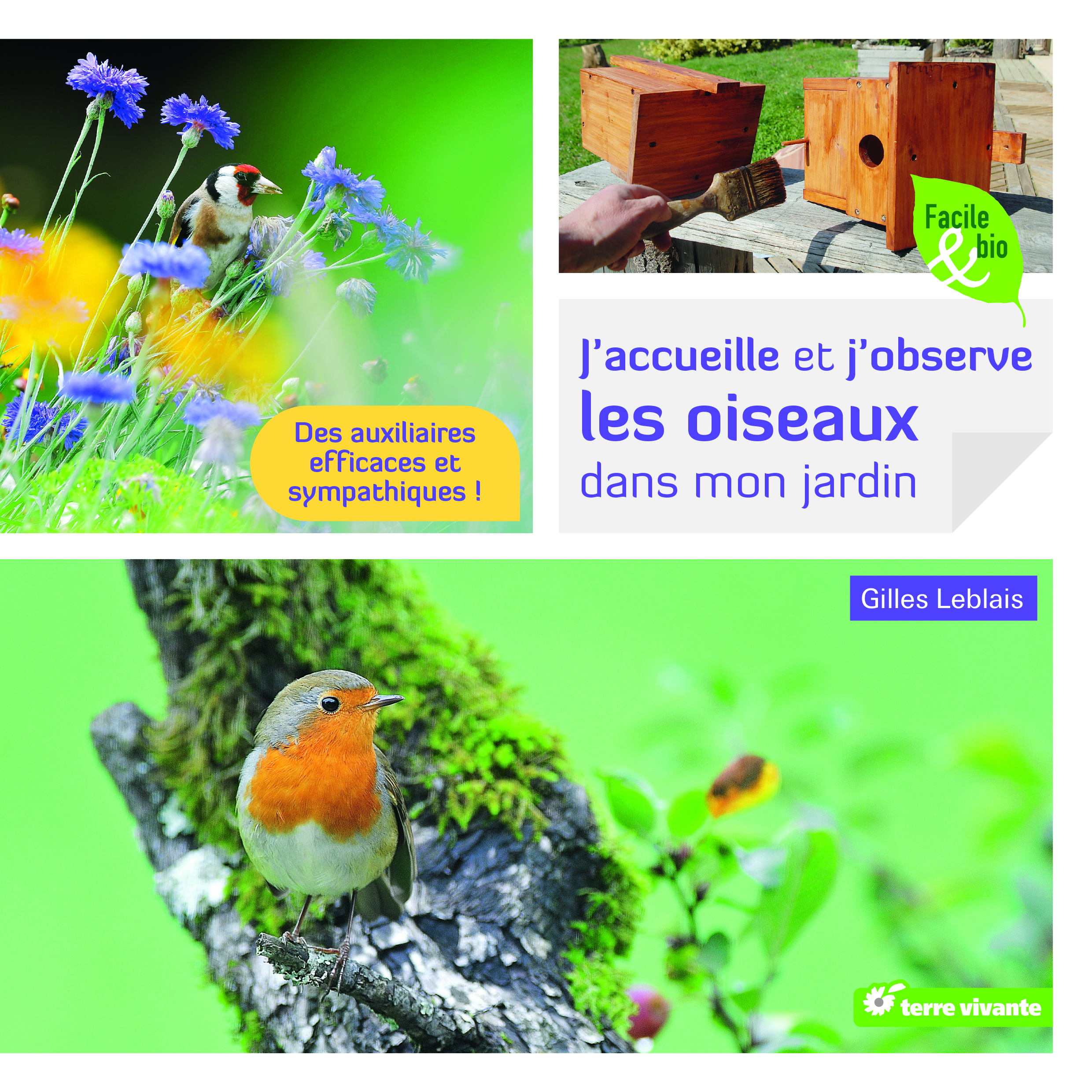 J’accueille et j’observe les oiseaux dans mon jardin : des auxiliaires efficaces et sympathiques