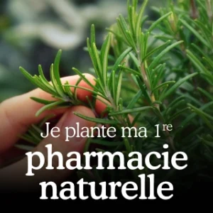 Je plante ma 1re pharmacie naturelle