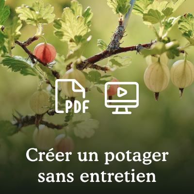 Le potager 3p (mon premier potager permanent)