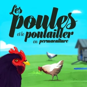 Les poules et le poulailler en permaculture