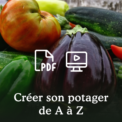 Le potager Perma+