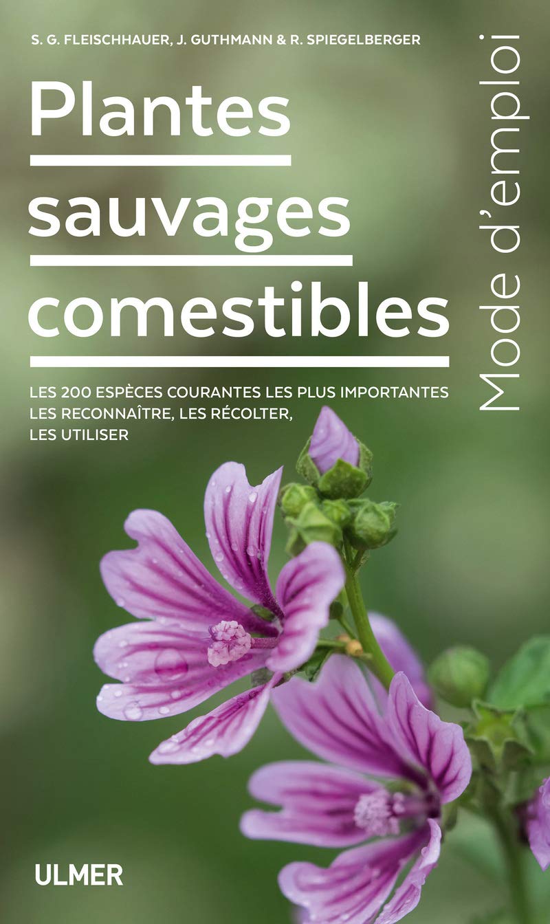 Plantes sauvages comestibles, mode d’emploi