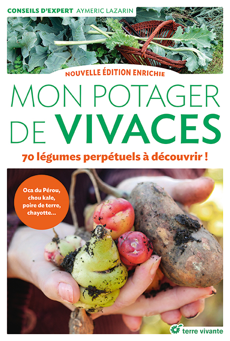 Mon potager de vivaces