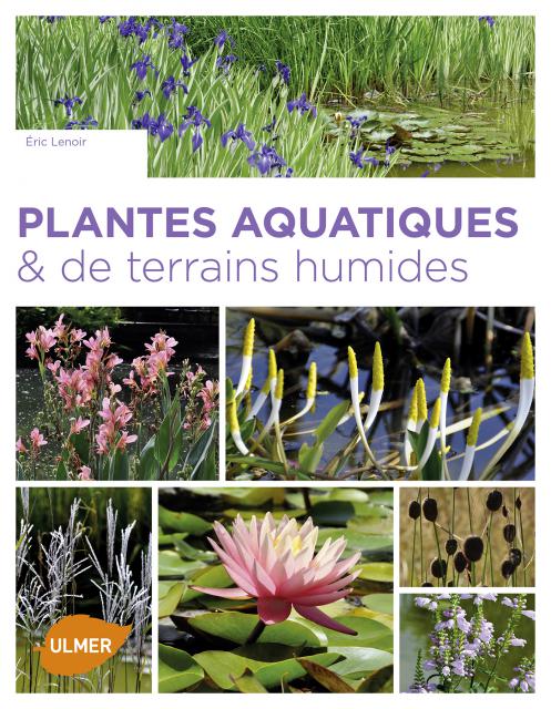 Plantes aquatiques & de terrains humides