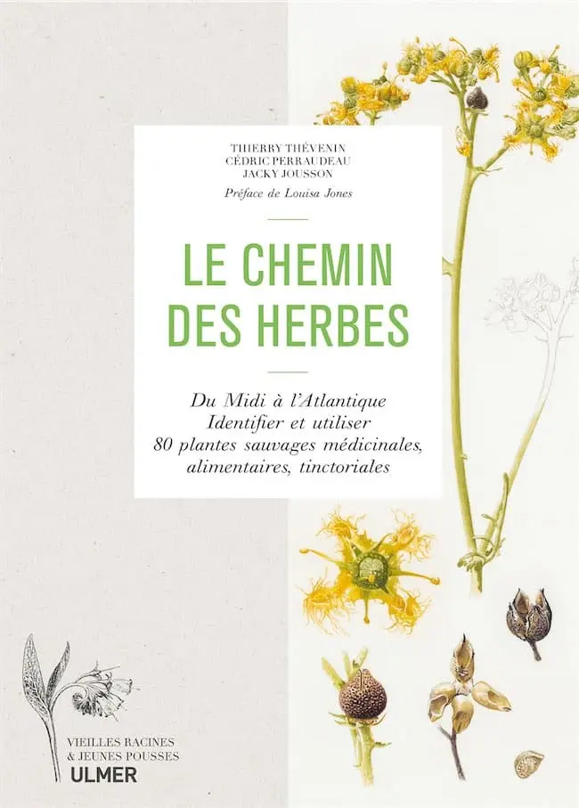 Le chemin des herbes – Du Midi à l’Atlantique, identifier et utiliser 80 plantes sauvages médicinales, alimentaires, tinctoriales