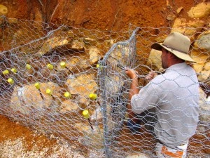 Fabrication des cages en grillages, n’oubliez pas les intercalaires. Source Milkwood Permaculture