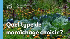 ​​Maraîchers conventionnels, bio ou en permaculture, quelles différences ?