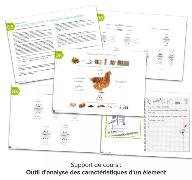 Téléchargez le support de cours !