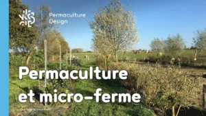 ​​Comment transformer sa micro-ferme grâce à la permaculture ?