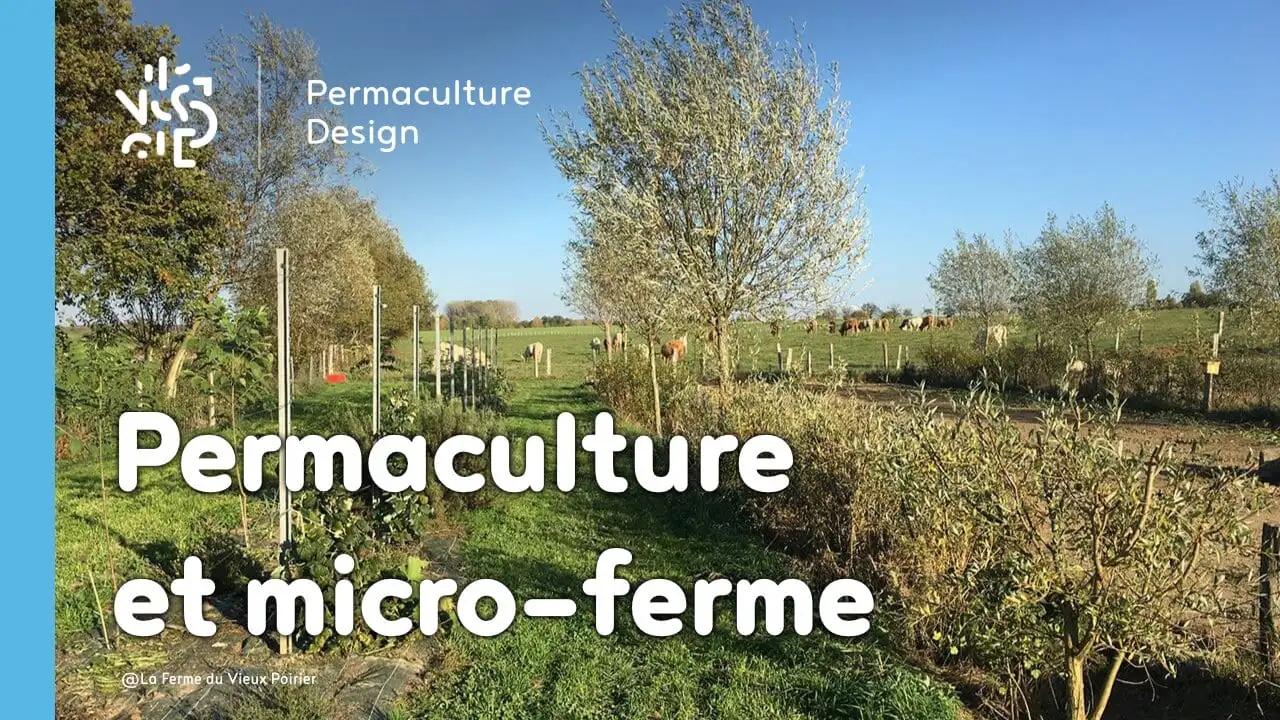 ​​Comment transformer sa micro-ferme grâce à la permaculture ?